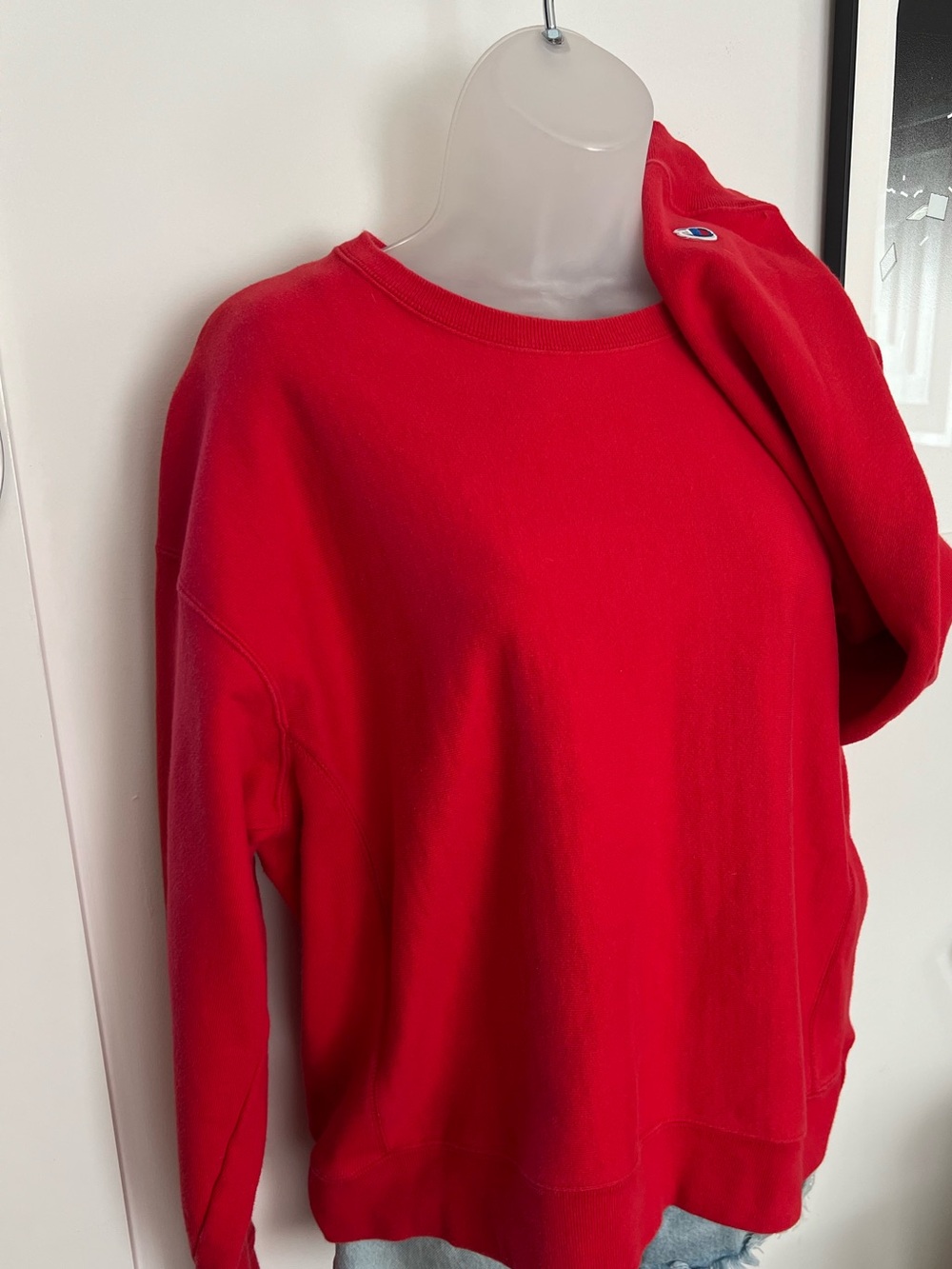 Vintage Champion Reverse Weave Crewneck Sweatshirt